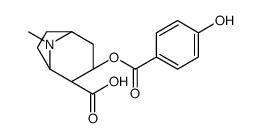 对羟基苯甲酰芽子碱