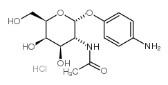 4-氨基苯基 2-乙酰氨基-2-脱氧-alpha-D-吡喃半乳糖苷盐酸盐