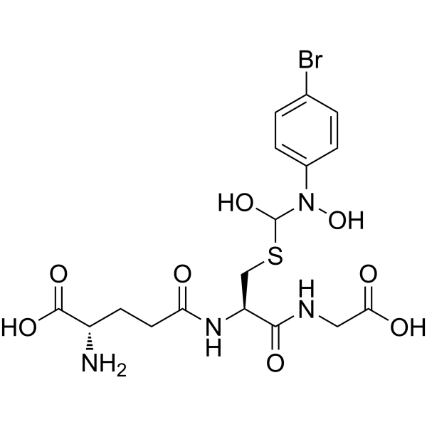 HBPC–GSH