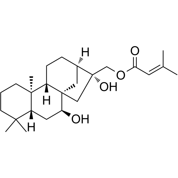 黄花香茶菜甲素