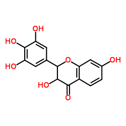 刺槐亭