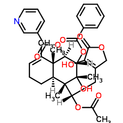 Scutebata B