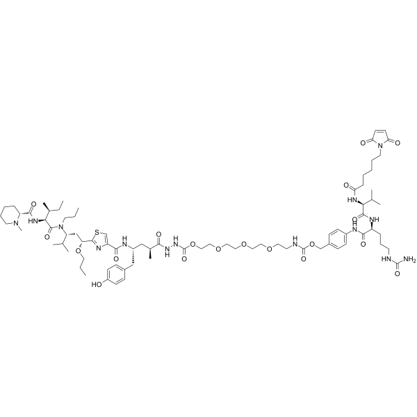 TAM558