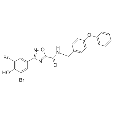 IOWH-032