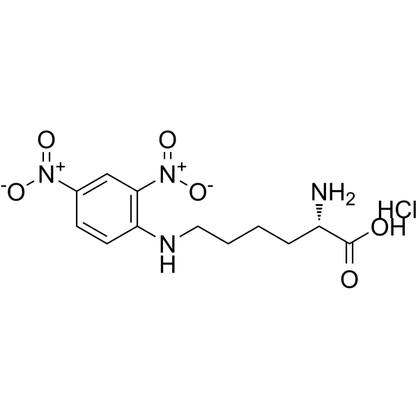 Nε-(2,4-二硝基苯基)-L-赖氨酸盐酸盐