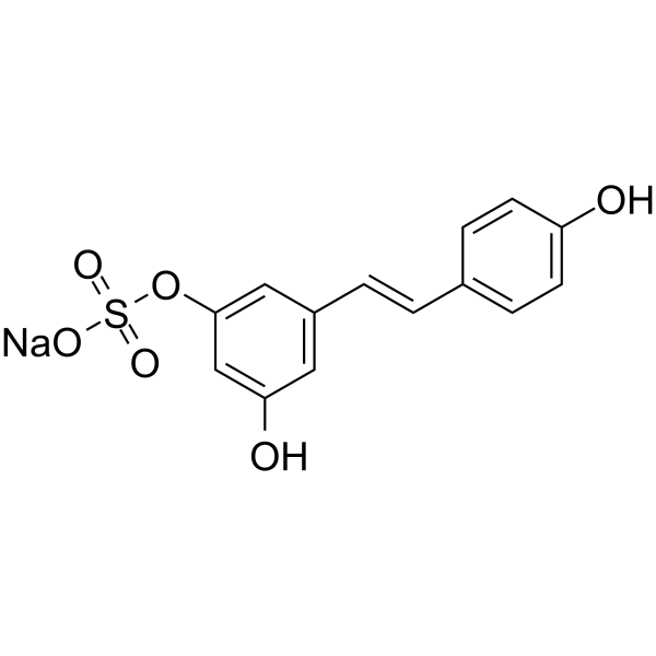 反式白藜芦醇3-硫酸盐