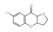 司克拉宗