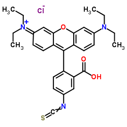 异硫氰酸罗丹明B