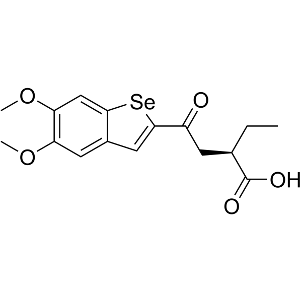 BSP16