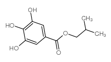 没食子酸异丁酯