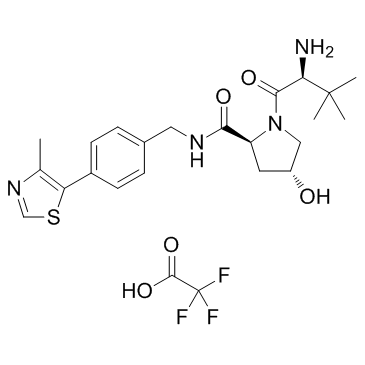 蛋白质降解剂1 TFA