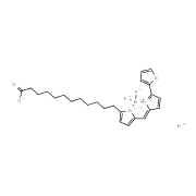 BODIPY 558/568 C12