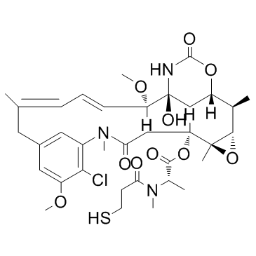 Mertansine(DM1化合物)