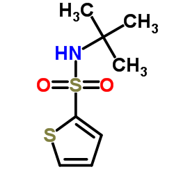 2-噻吩叔丁基磺酰胺