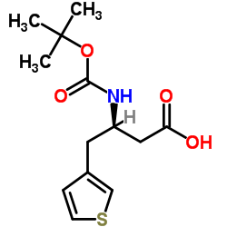 Boc-(3-噻吩基)-D-β-高丙氨酸