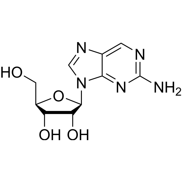 2-氨基嘌呤核苷