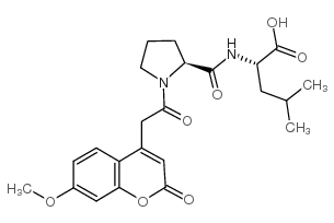 荧光调控基质金属蛋白酶-2/金属蛋白酶-7