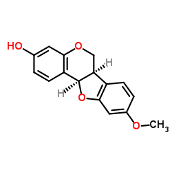 美迪紫檀素