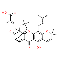 Isomorellic acid