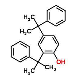 2,4-二枯基苯酚