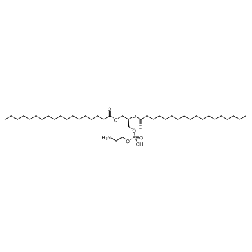 1,2-二硬脂酰基-sn-丙三基-3-磷脂酰乙醇胺(DSPE)