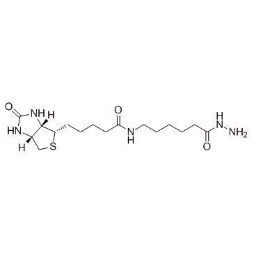 (+)-生物素胺己酰肼