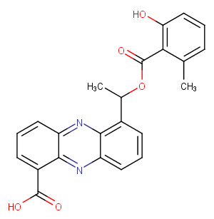 Saphenamycin