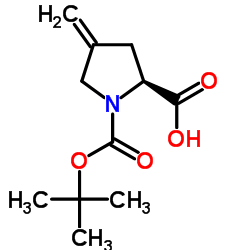 N-Boc-4-亚甲基-L-脯氨酸