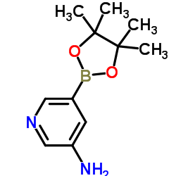 3-氨基吡啶-5-硼酸频哪醇酯