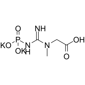 Creatine Phosphate potassium salt