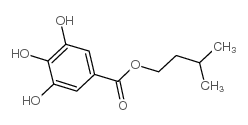 没食子酸异戊酯