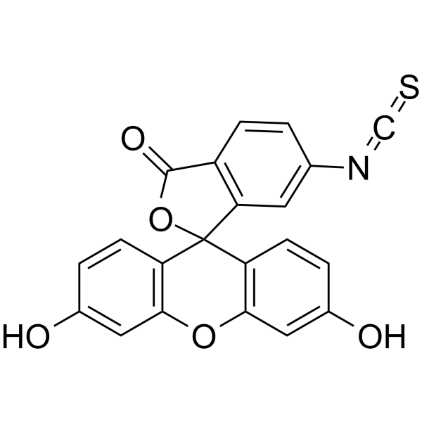 荧光素-6-异硫氰酸酯 (同分异构体II)