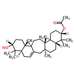 马尾杉醇 C