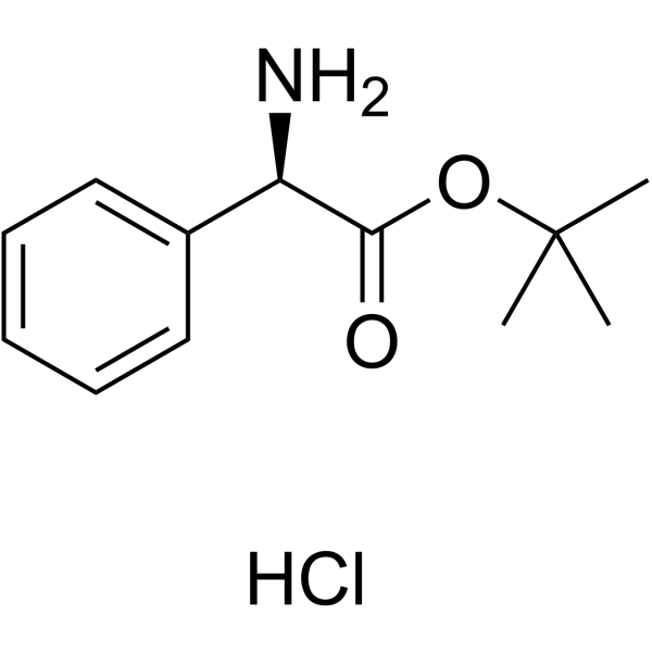 (R)-2-氨基-2-苯基乙酸叔丁酯盐酸盐