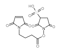 Mal-amino-sulfo