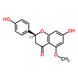 5-O-甲基柚皮素