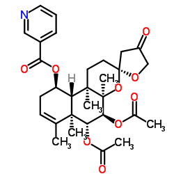 Scutebata F