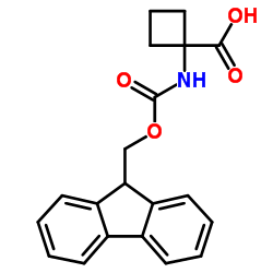 FMOC-1-氨基-1-环丁甲酸