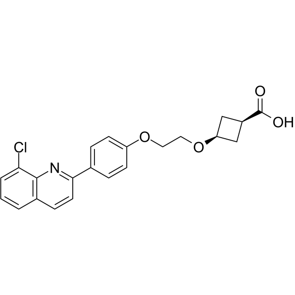 HBV-IN-16