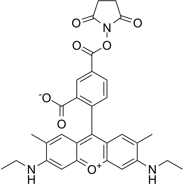 5-羧基罗丹明 6G 琥珀酰亚胺酯