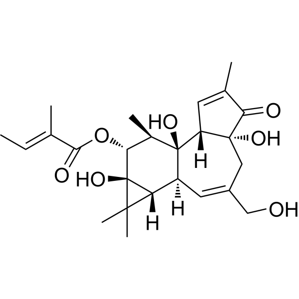 Phorbol 12-tiglate