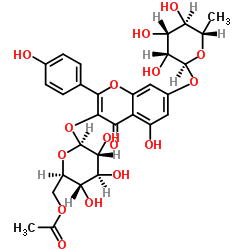 3-O-(6''-O-乙酰基)葡糖甙-7-O-鼠李糖苷堪非醇酯