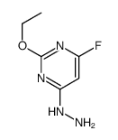 2-乙氧基-4-氟-6-肼基嘧啶