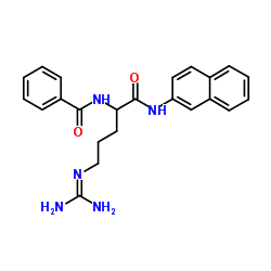 NA-苯甲酰-DL-精氨酰-β-萘胺