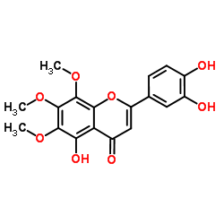 毒马草黄酮