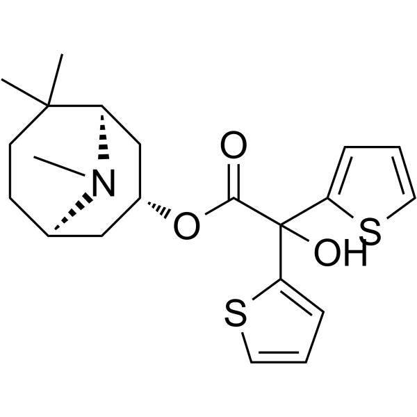 马扎替可