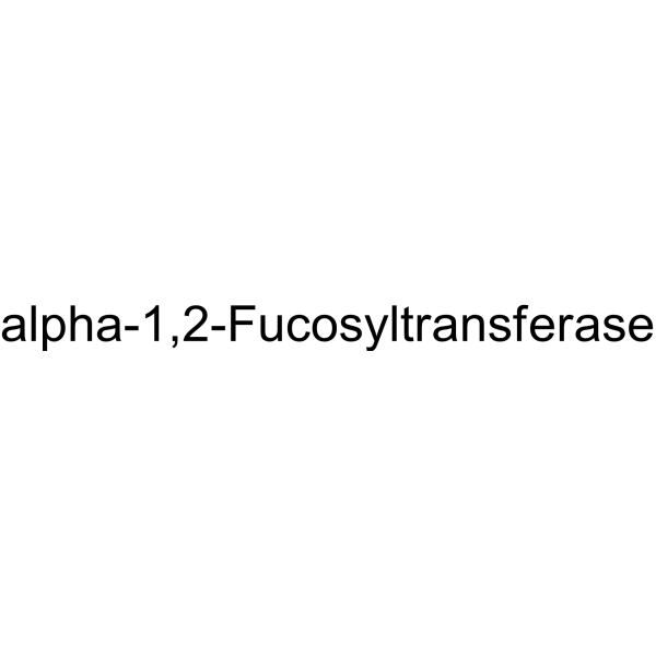 alpha-1,2-Fucosyltransferase