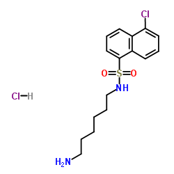 N-(6-氨基己基)-5-氯-1-萘磺酰胺盐酸盐