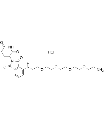 Pomalidomide-PEG4-C2-NH2 hydrochloride