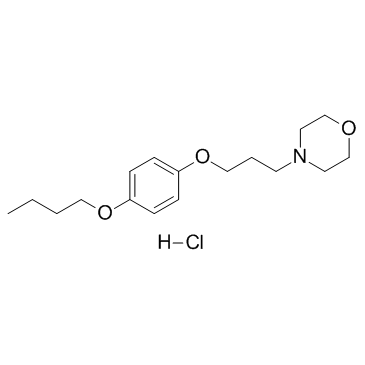 盐酸普莫卡因